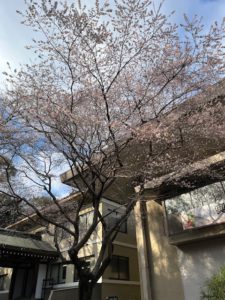 あけましておめでとうございます。